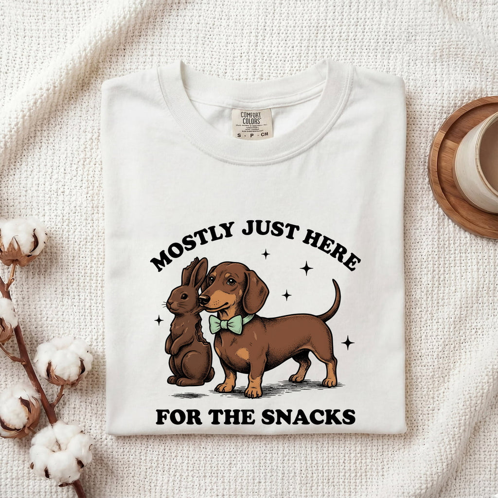 Dachshund Rabbit Shirt Easter Pet Gift Women Retro Tee Wiener Dog T-Shirt Easter Fan Doxie Graphic Tshirt Sketch Sparkles Tshirt