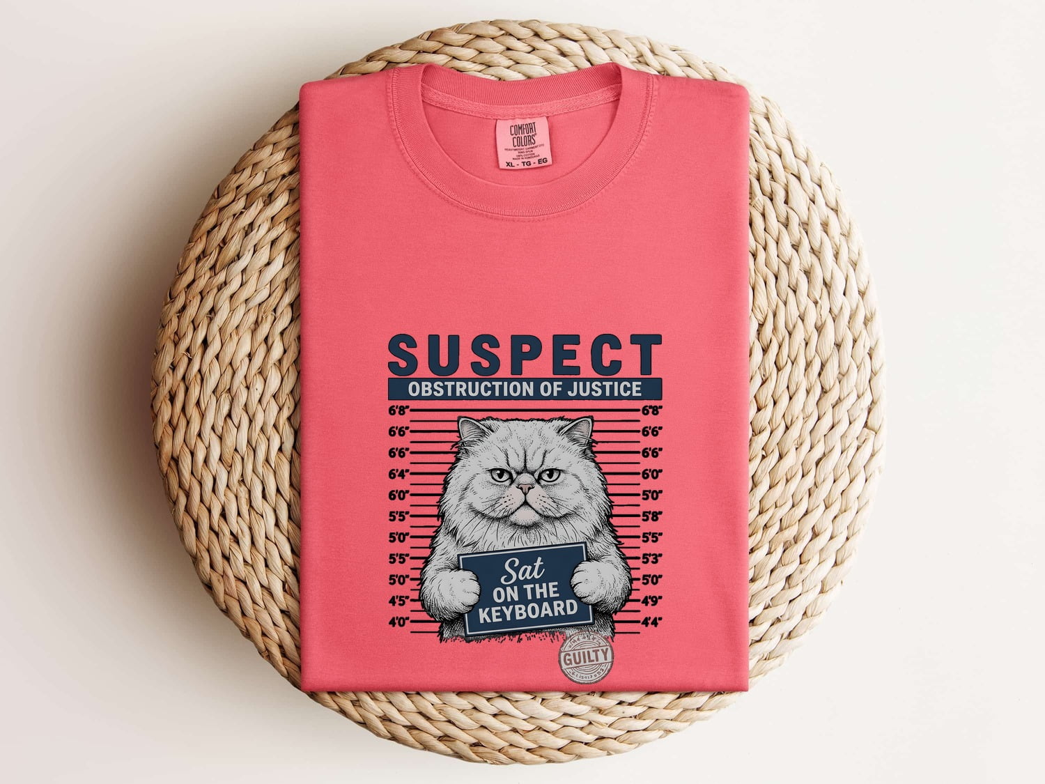 Grumpy Cat Mugshot Shirt Cat Humor Gift Women Hand Drawn Tee Mugshot T-Shirt Cat Fan Feline Tshirt Funny Graphic Vintage Police Lineup