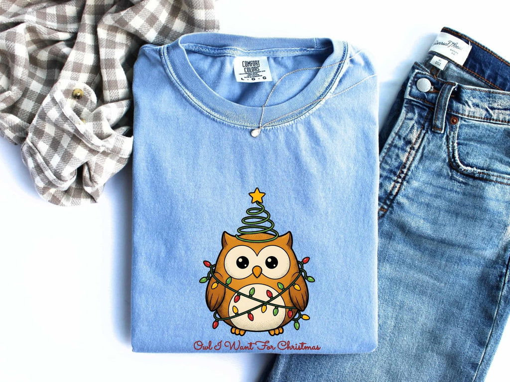 Owl Shirt Christmas Pets Gift Women Comic Tee Hoot Owl T-Shirt Xmas Fan Owl Art Tshirt Animal Graphic Sketch Holiday Lights Tshirt