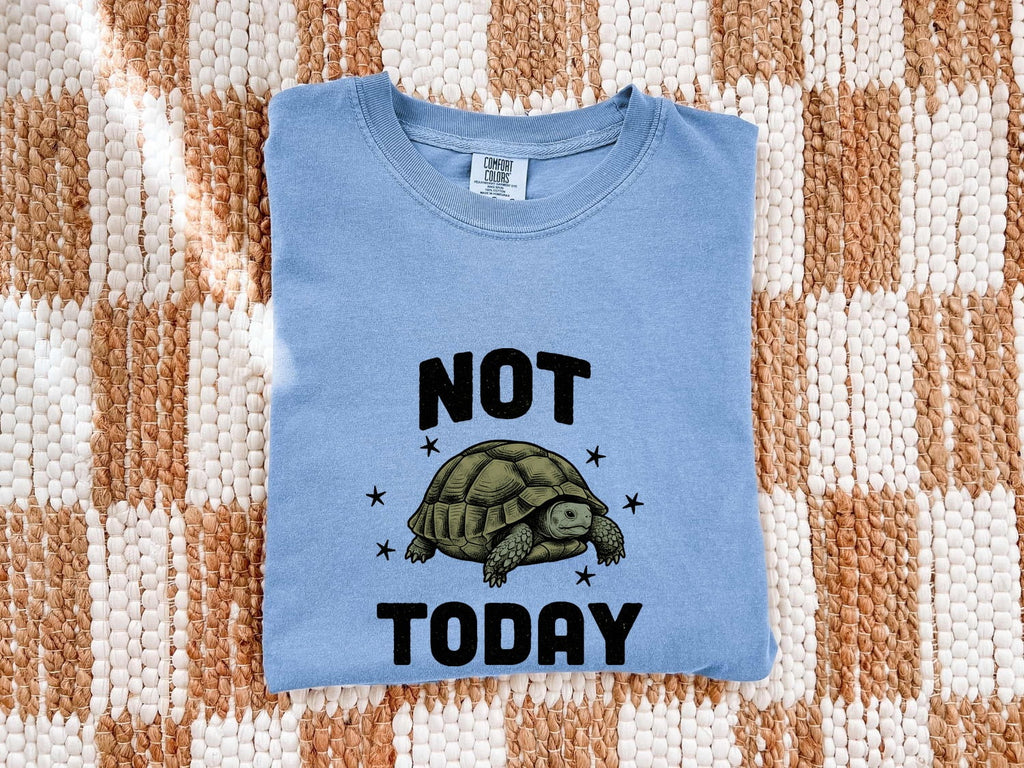 Tortoise Illustration Shirt Cute Pets Gift Women Hand Drawn Tee Turtle T-Shirt Adorable Fan Illustrated Tshirt Animal Graphic Cartoon Star