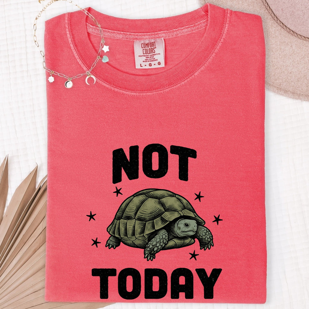 Tortoise Illustration Shirt Cute Pets Gift Women Hand Drawn Tee Turtle T-Shirt Adorable Fan Illustrated Tshirt Animal Graphic Cartoon Star