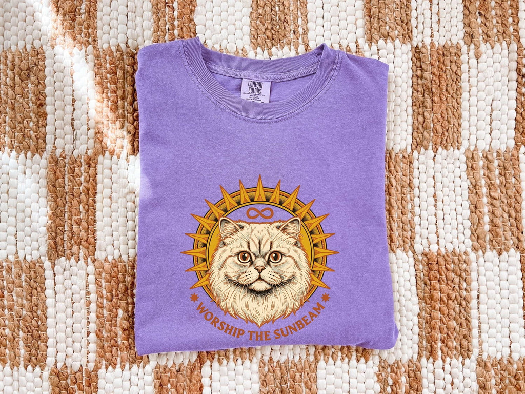 Persian Cat Shirt Cat Pet Gift Women Vintage Tee Cat T-Shirt Cat Fan Feline Tshirt Animal Graphic Hand Drawn Sun Rays Tshirt