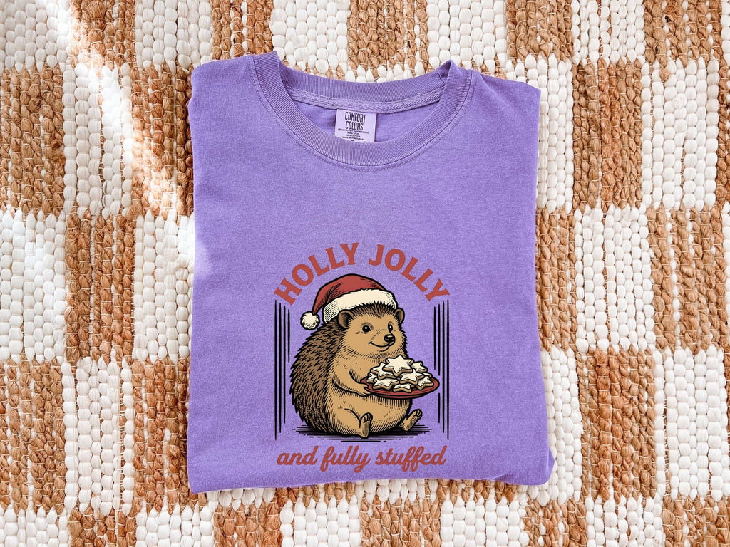 Hedgehog Christmas Hat Shirt Christmas Pet Gift Women Retro Tee Porcupine T-Shirt Xmas Fan Vintage Tshirt Animal Graphic Sketch Biscuits
