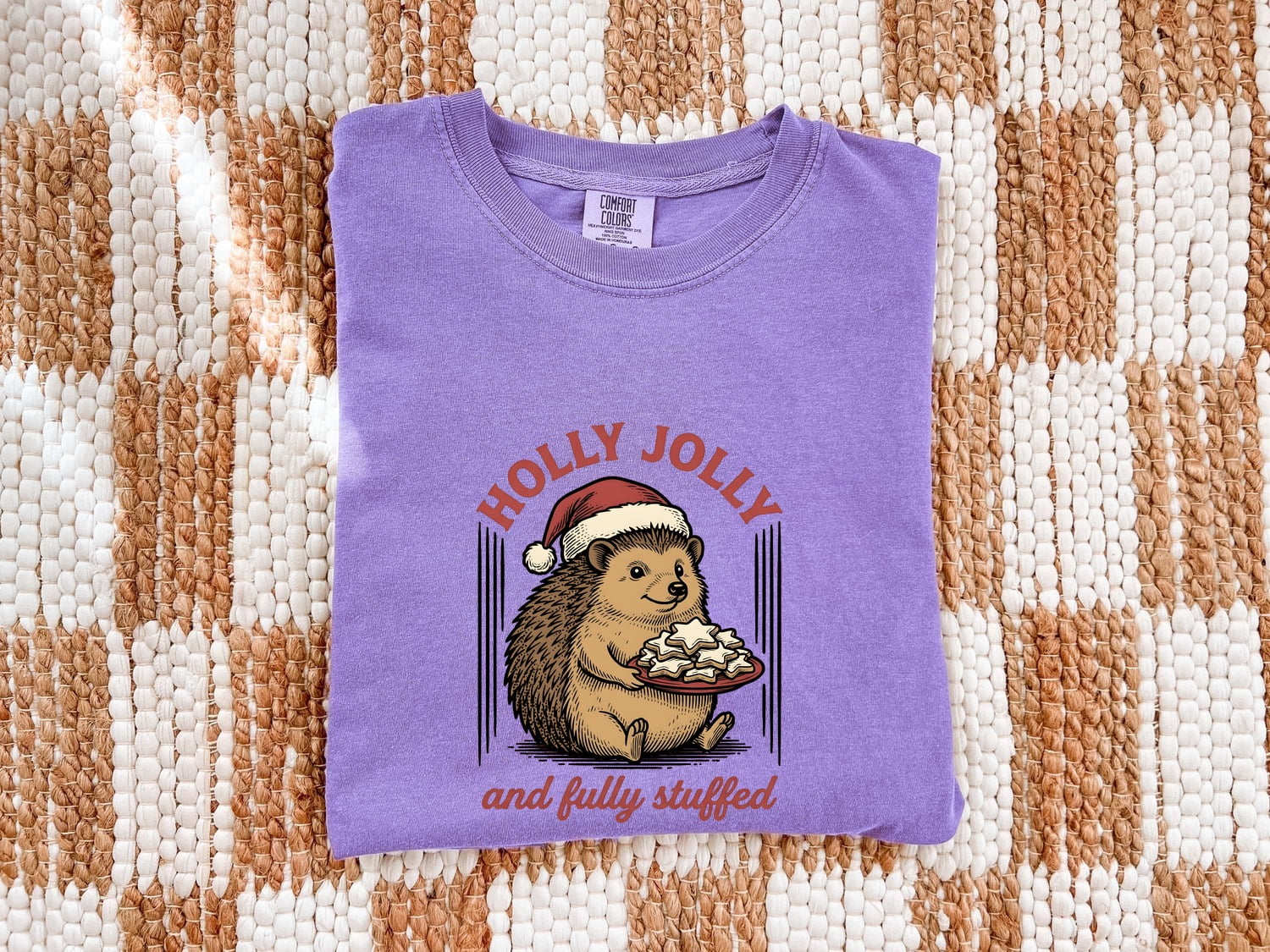 Hedgehog Christmas Hat Shirt Christmas Pet Gift Women Retro Tee Porcupine T-Shirt Xmas Fan Vintage Tshirt Animal Graphic Sketch Biscuits