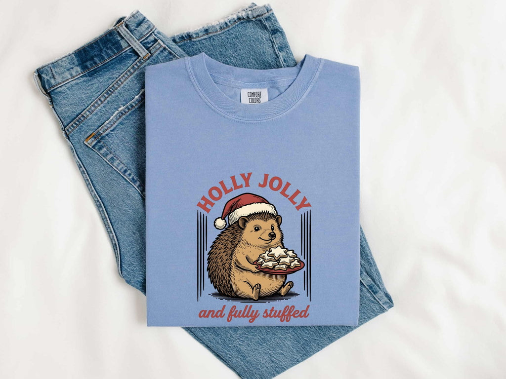 Hedgehog Christmas Hat Shirt Christmas Pet Gift Women Retro Tee Porcupine T-Shirt Xmas Fan Vintage Tshirt Animal Graphic Sketch Biscuits