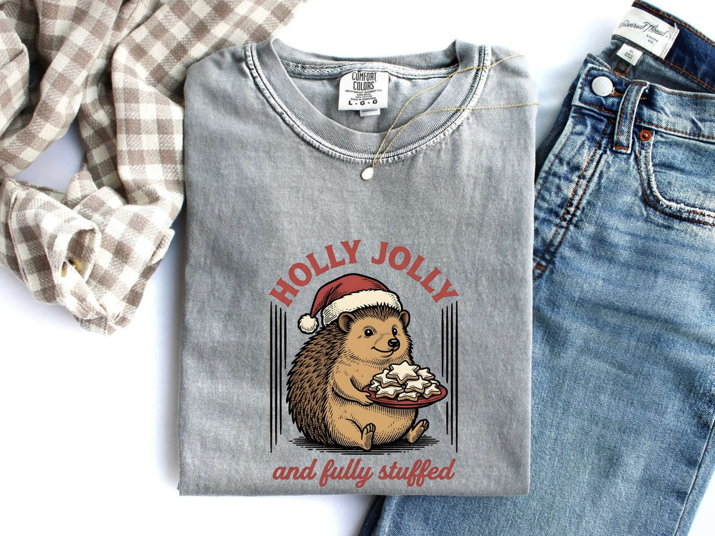 Hedgehog Christmas Hat Shirt Christmas Pet Gift Women Retro Tee Porcupine T-Shirt Xmas Fan Vintage Tshirt Animal Graphic Sketch Biscuits
