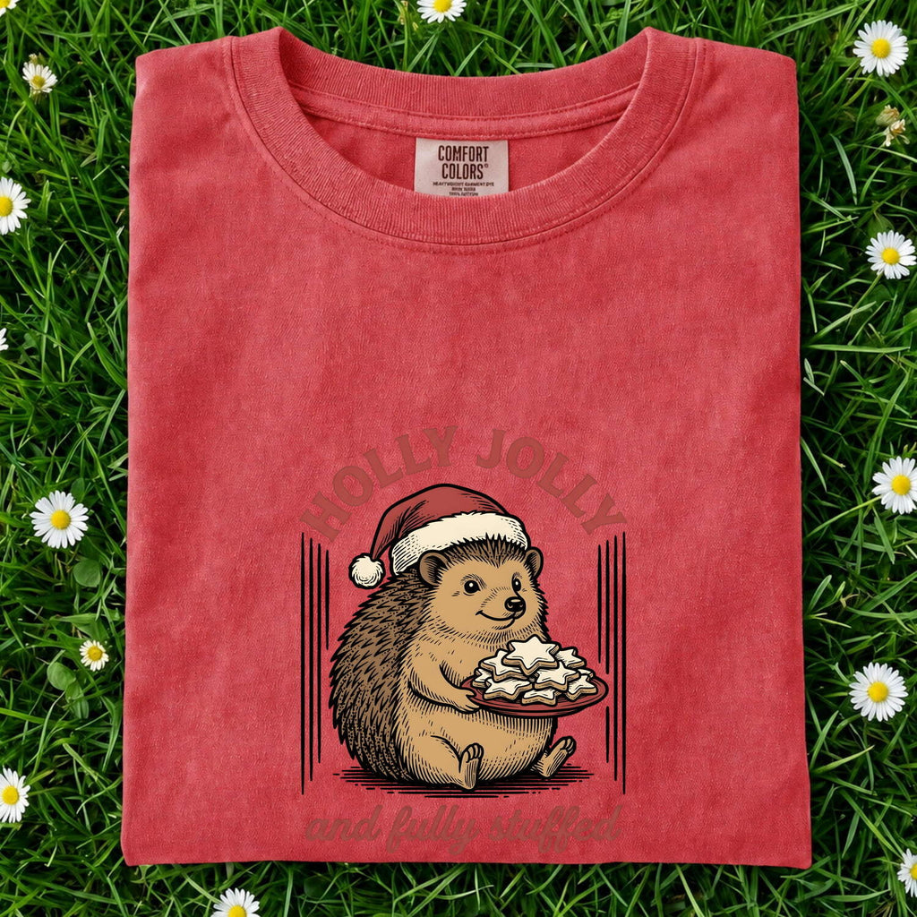 Hedgehog Christmas Hat Shirt Christmas Pet Gift Women Retro Tee Porcupine T-Shirt Xmas Fan Vintage Tshirt Animal Graphic Sketch Biscuits
