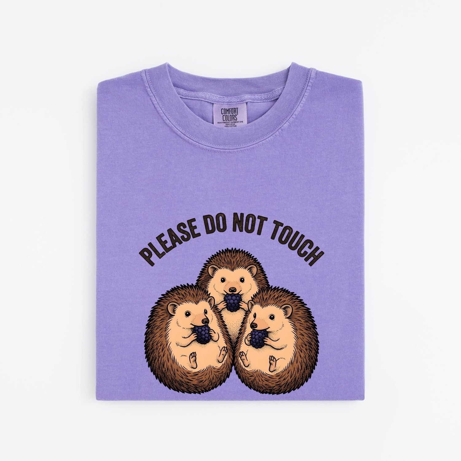 Hedgehog Shirt for Women – Funny Quirky Cartoon Apple Meme Graphic Tee